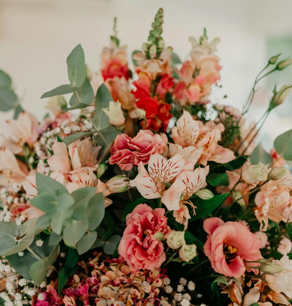 Pink Flowers