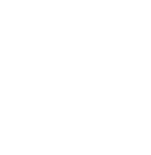 White Flower